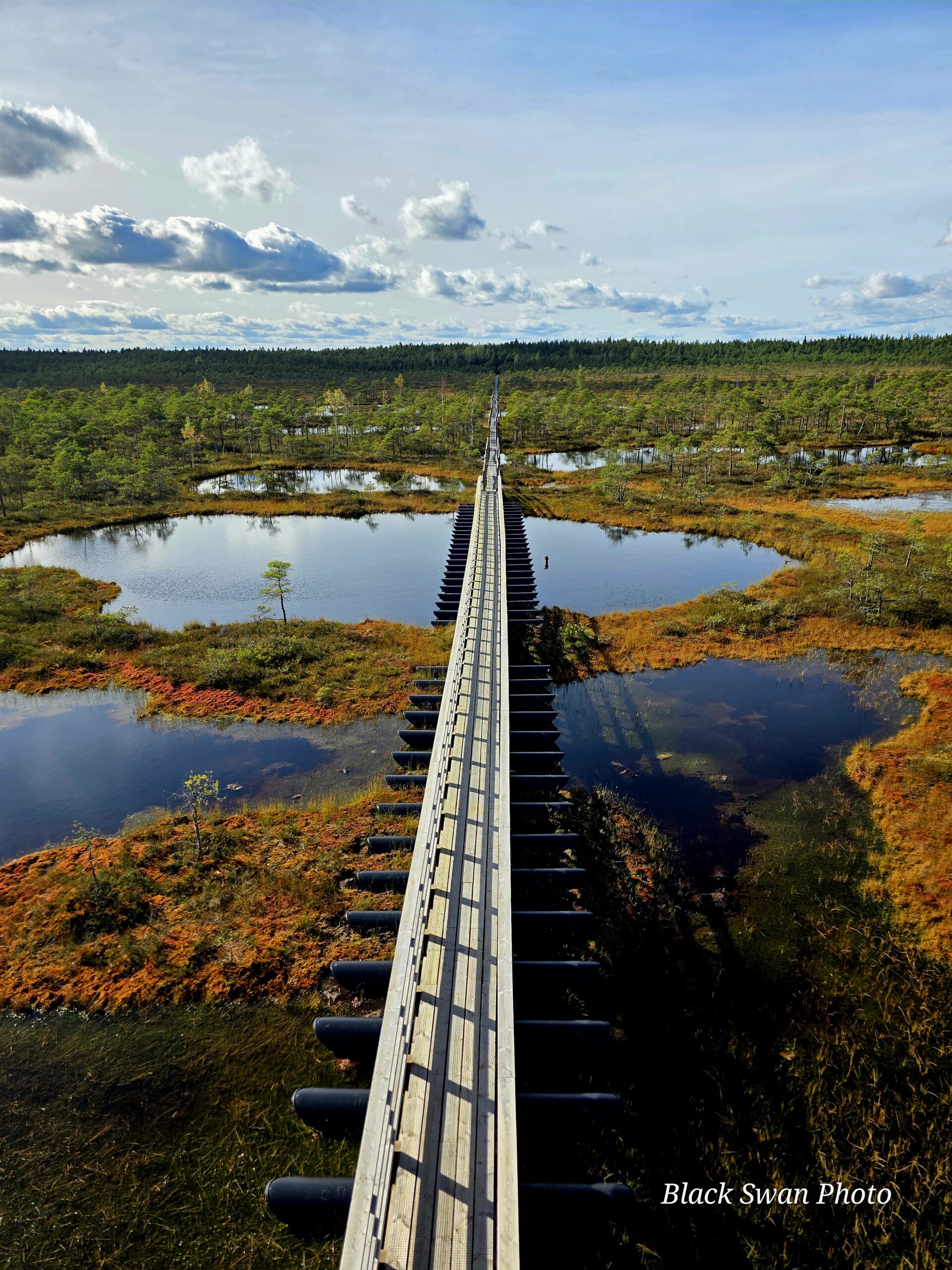 Kogemusnõustamine - Kristi Ingel